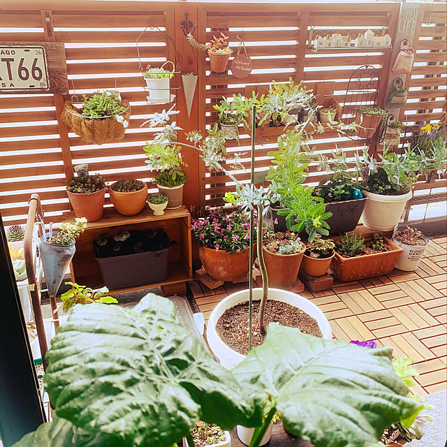 kotoさんの実例写真