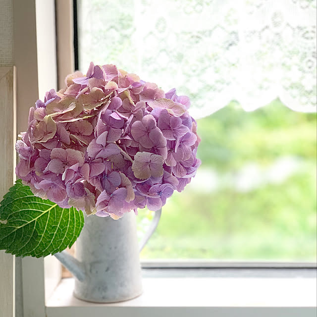 エントランス/窓辺/借景/紫陽花/賃貸...などのインテリア実例 - 2019-07-16 21:59:56