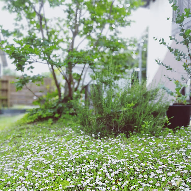 so-bokuさんの実例写真
