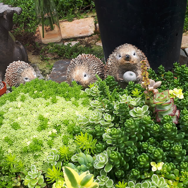 aiさんの実例写真