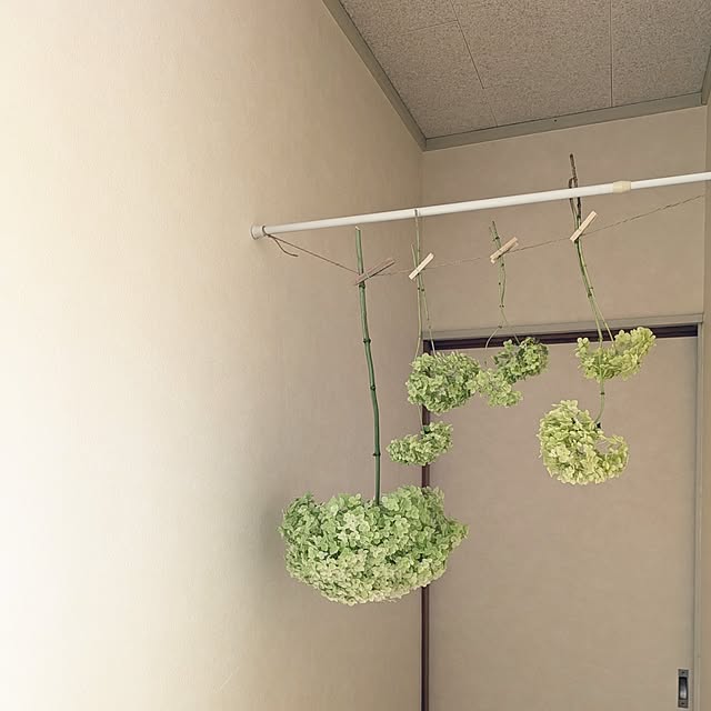Renさんの部屋