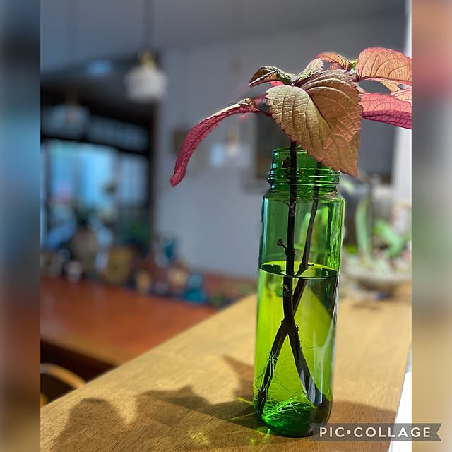 buchiさんの実例写真