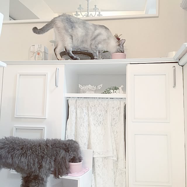 noelさんの実例写真