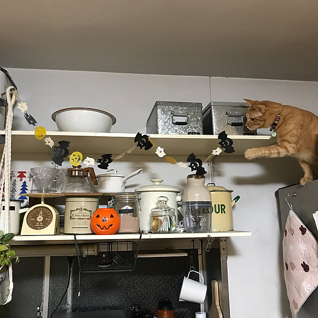 misamisa1113さんの実例写真