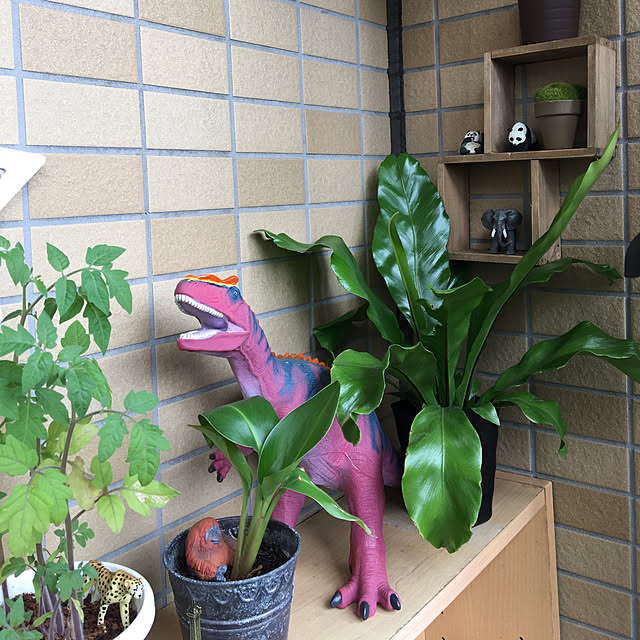 実例写真