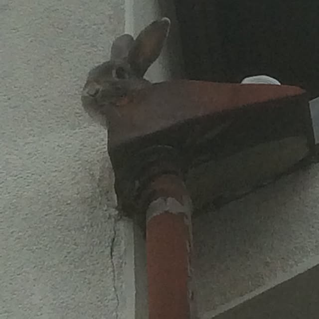 Tomokoさんの実例写真
