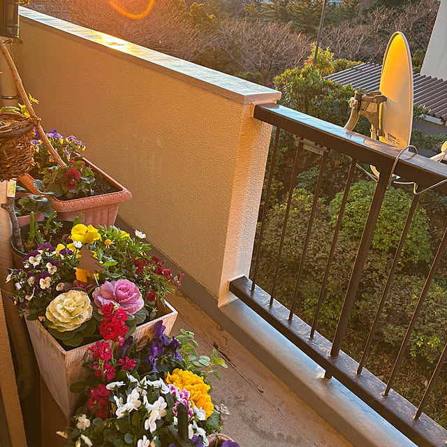 syutmmさんの部屋