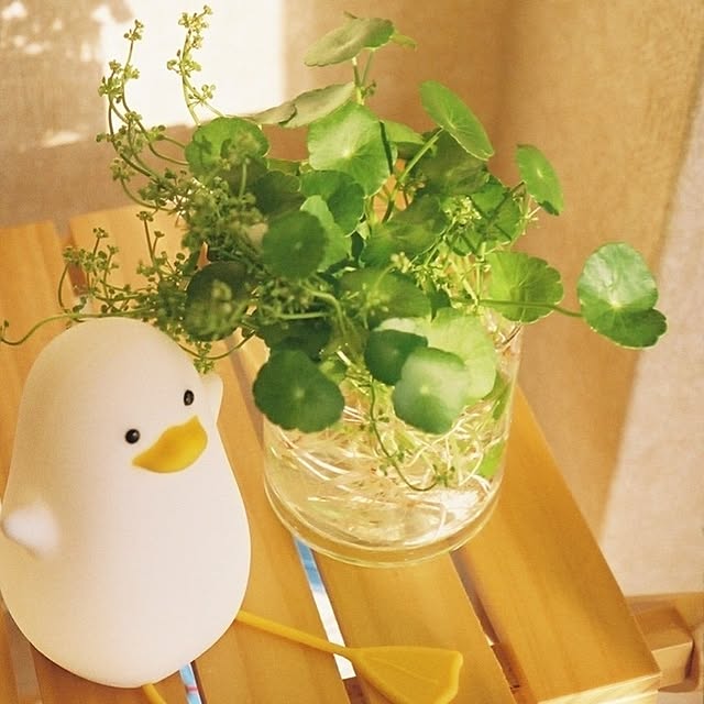 kitaさんの実例写真