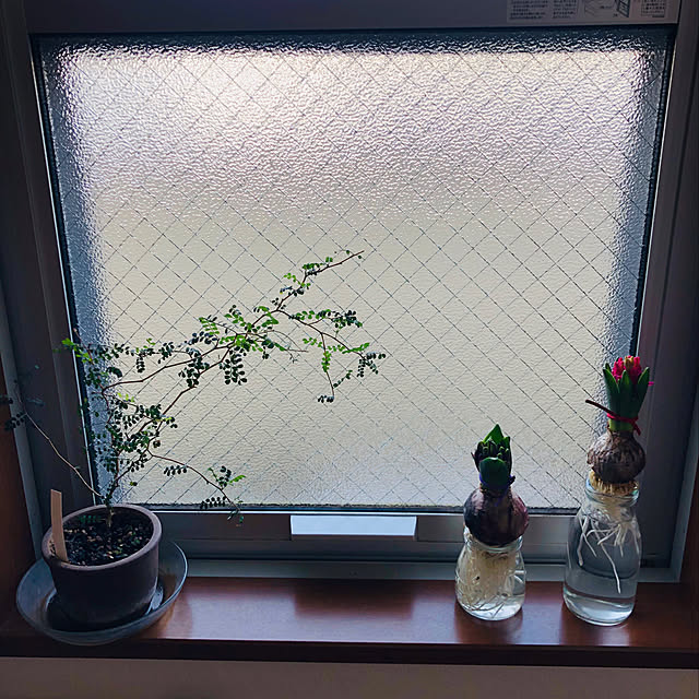 JUENさんの実例写真