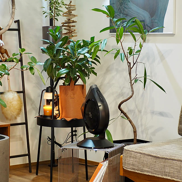 Sakkinさんの実例写真