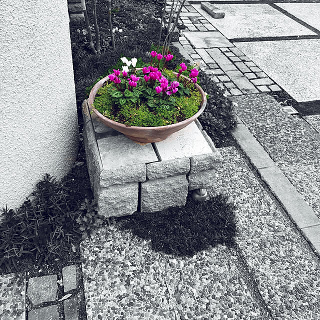 pontaさんの実例写真