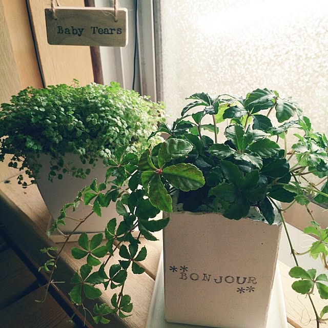 miporin0711さんの実例写真