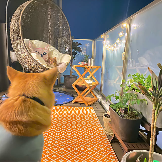 Musashiさんの実例写真