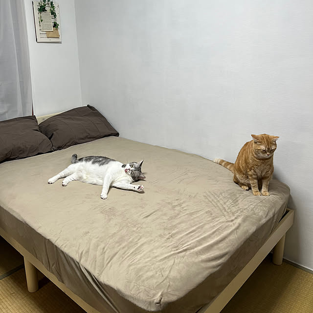 Atelier.mさんの実例写真