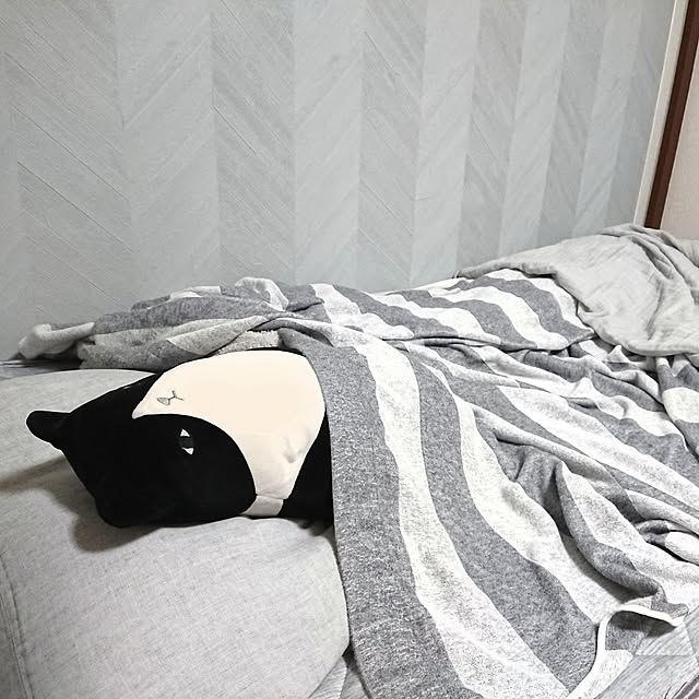 kashiwamochiさんの実例写真