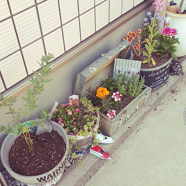 m.coccoさんの実例写真