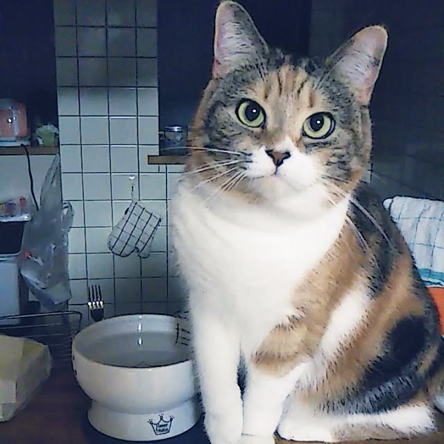 yukieさんの実例写真