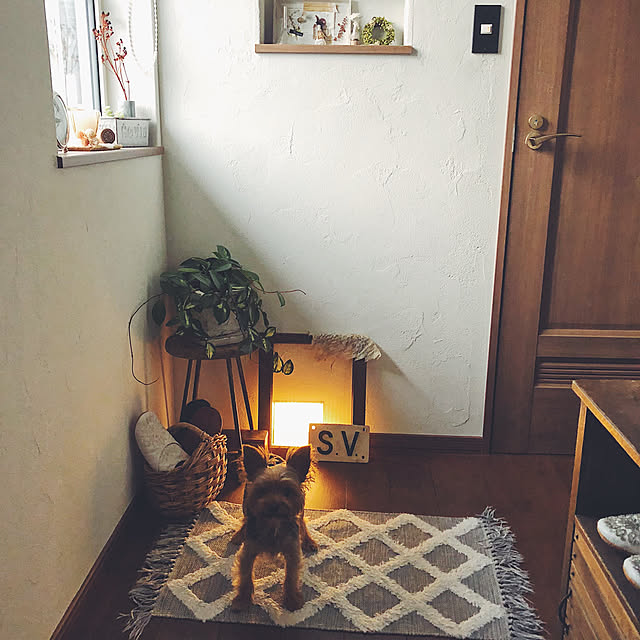Ranさんの実例写真
