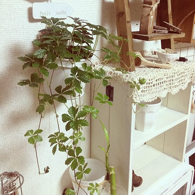 mikiさんの実例写真