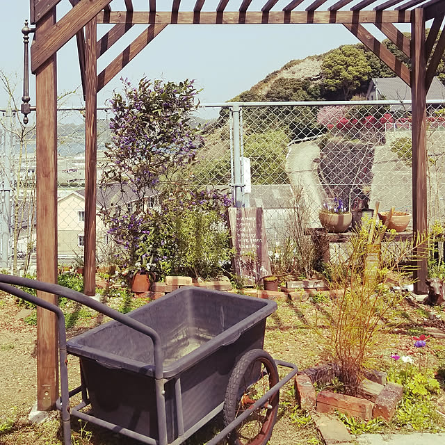 kotasukyさんの実例写真