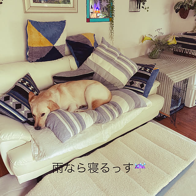 cherryさんの実例写真
