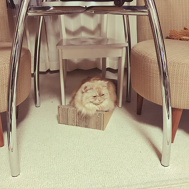 roseさんの実例写真