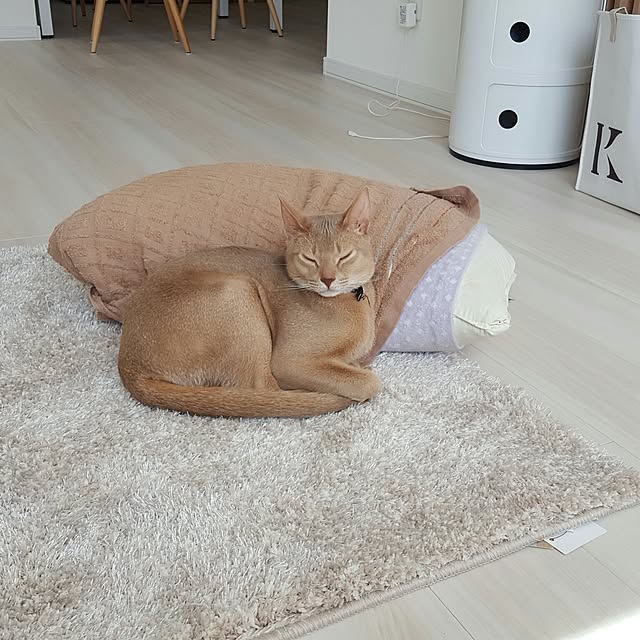 megu.catさんの実例写真