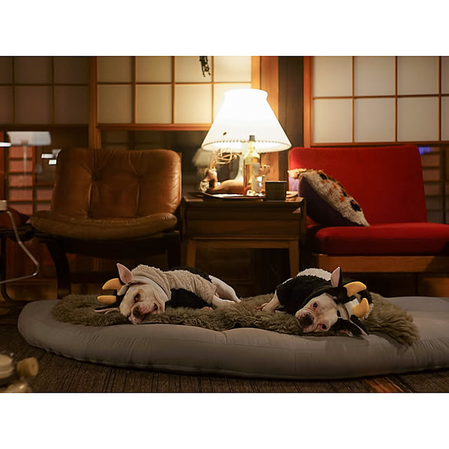 chobinonさんの実例写真