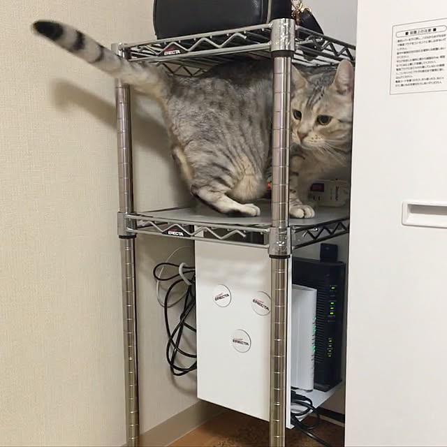 hanachanさんの実例写真