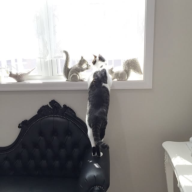 yuchiさんの実例写真