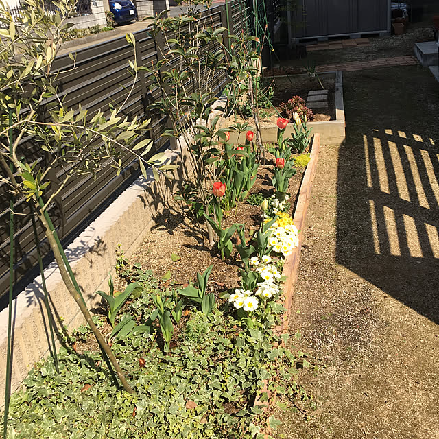 goro_wanさんの実例写真