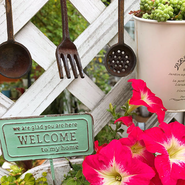 **yuu**さんの実例写真