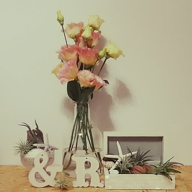 32aloalo0526さんの実例写真
