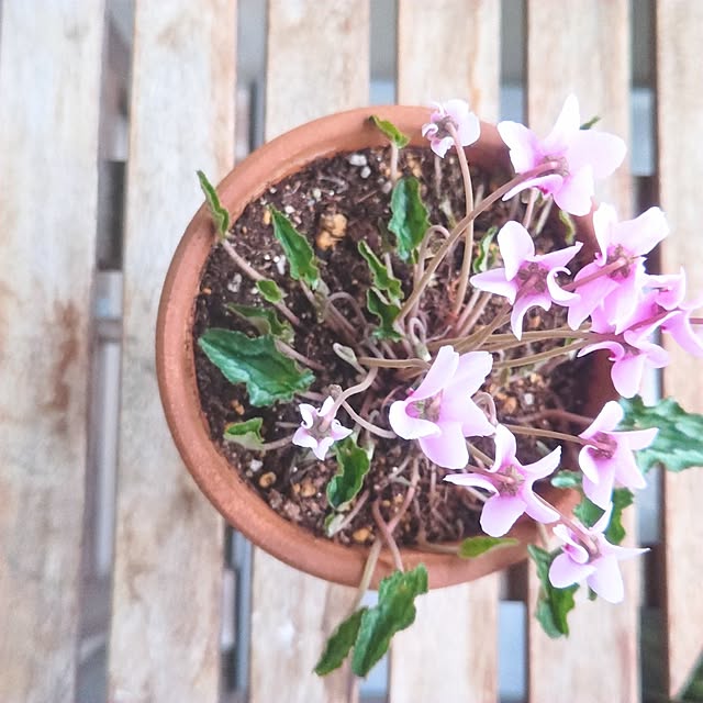 YuriYuriさんの部屋