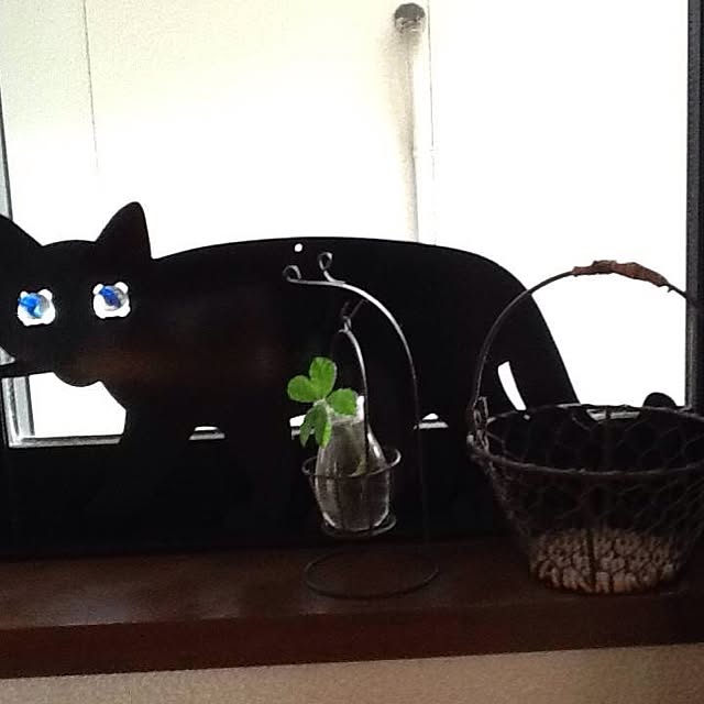 Mikaさんの実例写真