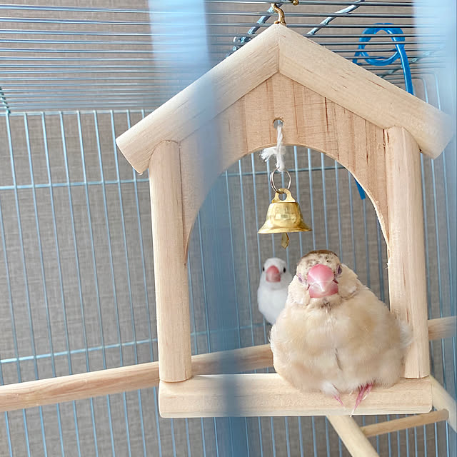 hananokaoriさんの実例写真