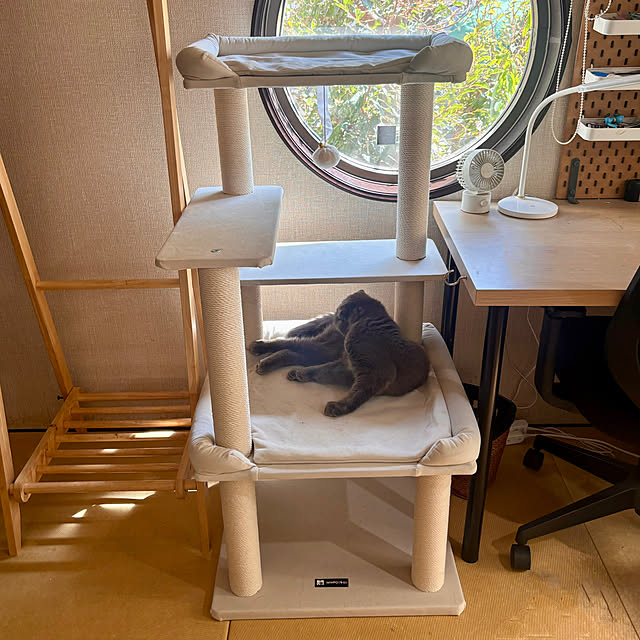 greycatsさんの実例写真