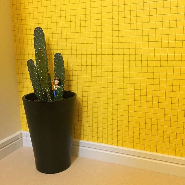 A__Tさんの実例写真