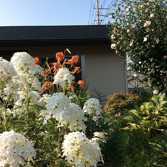 houenさんの実例写真