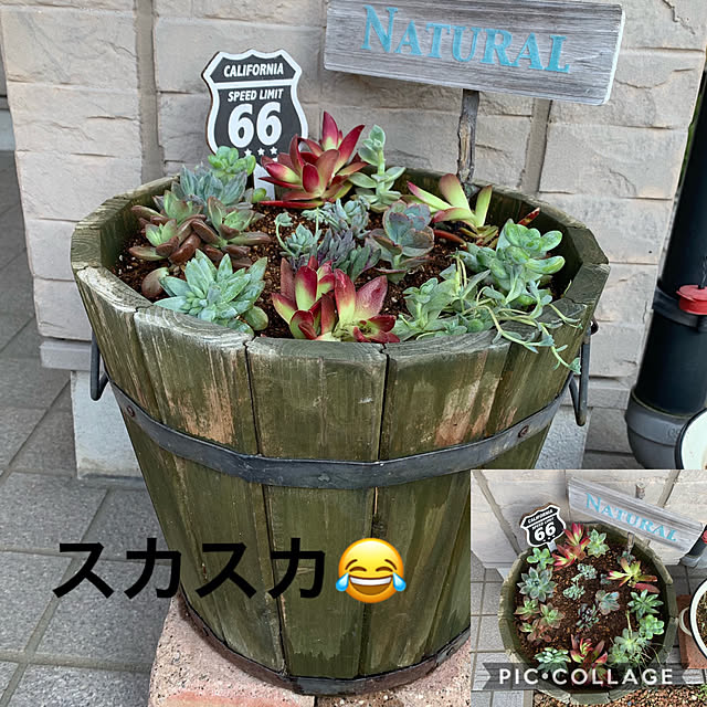 Rumiさんの実例写真