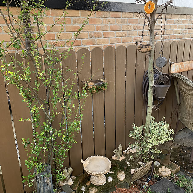 tabasaさんの実例写真