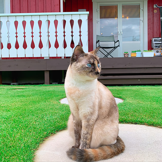 miyaさんの実例写真