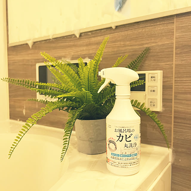 miniさんの実例写真