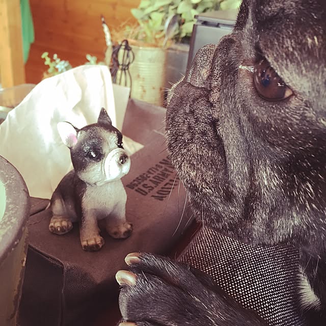 Ka_Kaさんの実例写真
