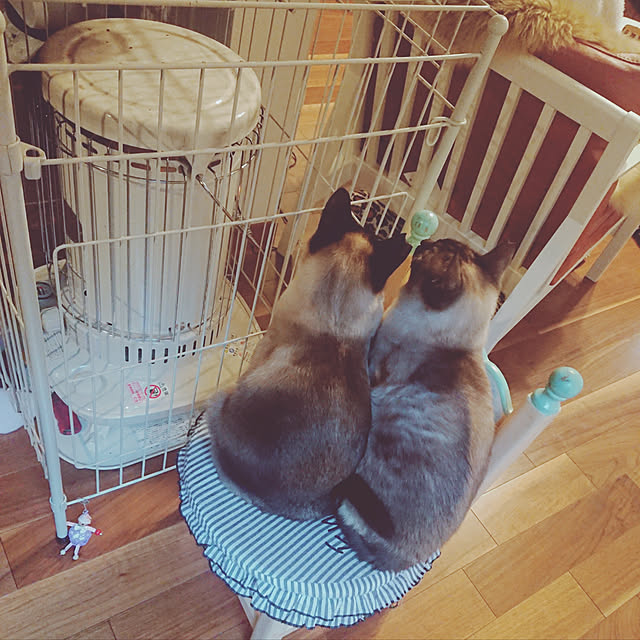 Rさんの実例写真