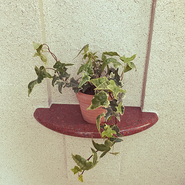 r.mi_bonさんの実例写真