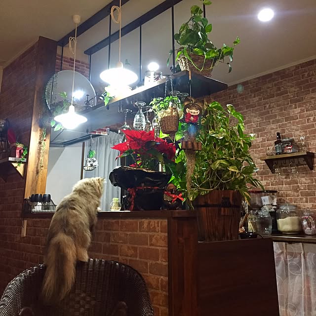 butachanさんの実例写真