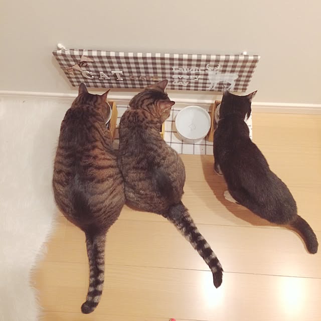 lovecatさんの実例写真