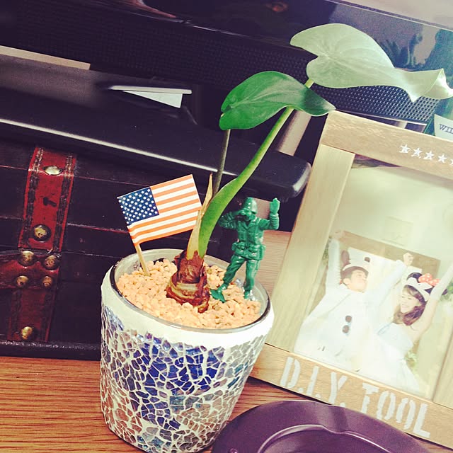 HARUさんの実例写真