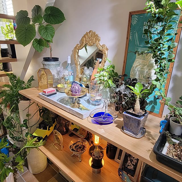 nonbiri_house_さんの実例写真